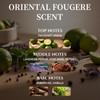 Men’s Cologne – Long Lasting Fresh Spicy Woody Eau de