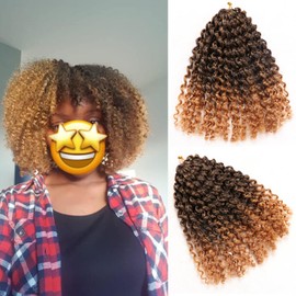 LLZBEAUTYHair 9Bundles Passion Twist Hair Marlybob Crochet Braids Hair Marly Twist Crochet Hair Short Crochet Hair Extensions for Black Women (8Inchs(9bundles ), #T-27), 6 count