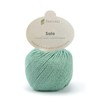 Pascuali Sole 90% Cotton (Pima), 10% Cashmere Wool for Knitting