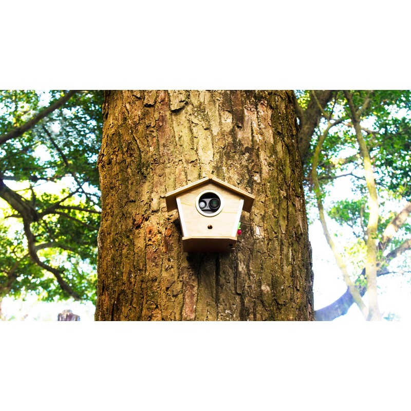 Brinno MAC200DN Portable Motion Activated Wireless Outdoor Security Camera (Black)