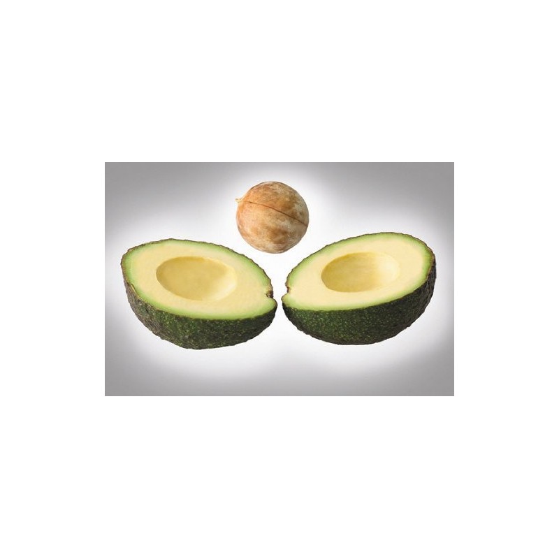 MOHA Avocadoschneider, Edelstahl, Silber, 6.5 x 18 x 10 cm