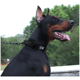 UNA MASCOTA Collar Táctico para Perros - Seguridad y Comodidad en Tus Paseos,Collar de Perro Resistente y Ligero (Negro, XL)