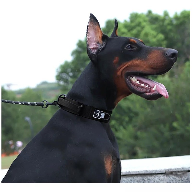 UNA MASCOTA Collar Táctico para Perros - Seguridad y Comodidad