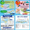 Hanayama Puzzle & Game Japan Map 2-Layer