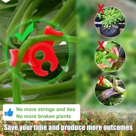 Business King Plant Training Clips 30 Pcs 90 Degree New Generation Low Stress Plant Clips to Bend Plant Clips to Train Plant (30 pcs)