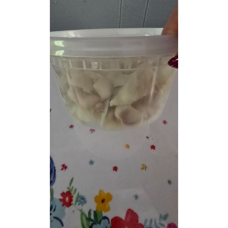 Homemade chocolate covered cashews. White , Milk , or dark