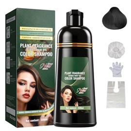 Champú para Teñir el Cabello 500ml - Champú Tintura con Ingredientes Herbales, Cubre Canas en Casa para Hombres y Mujeres, Champú para Cañas 3 en 1 Ne