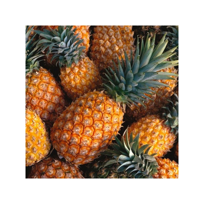 고역가 파인애플 효소 브로멜라인 효능 분말 스틱 30포 High-Purity Pineapple