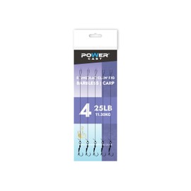 Angular Claw Carp rigs (5 in a pack) (Barbless, 4)