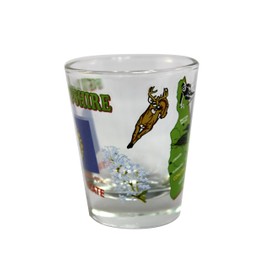 Souvenir Shot Glass - New Hampshire