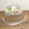 DAIM Seedling Cover Seedling Dome, Small, Set of 5, Diameter