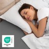 Dreamzie - Fitted Sheet 80 x 200 cm Pack of