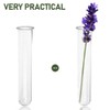 DECHOUS 6Pcs Clear Test Tubes for Plant 6 Inch Propagation