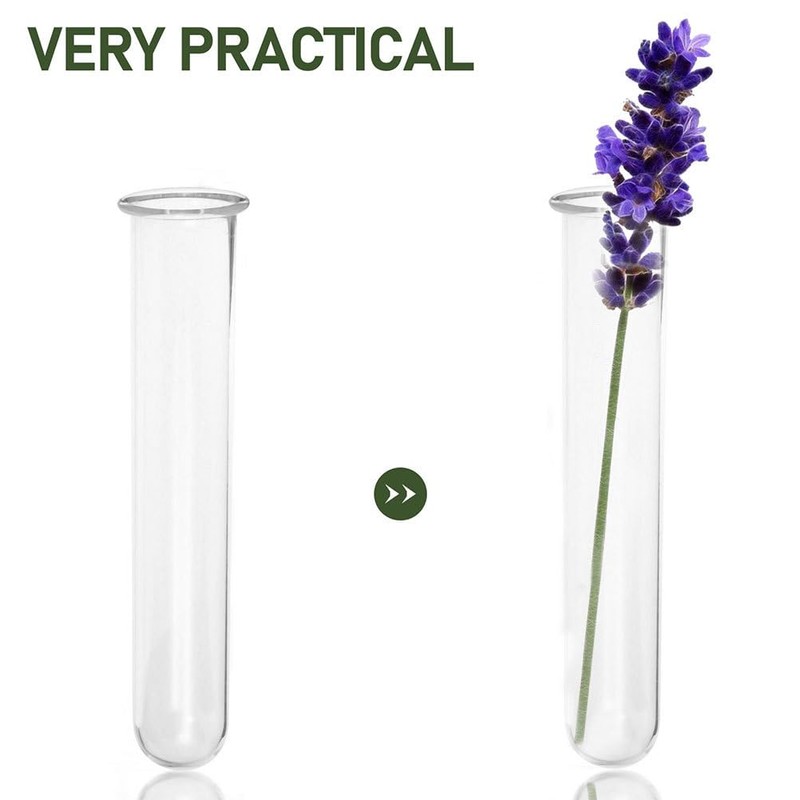 DECHOUS 6Pcs Clear Test Tubes for Plant 6 Inch Propagation
