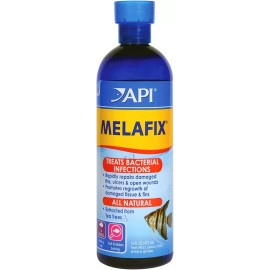 Api Melafix Freshwater Fish Bacterial Infection Remedy 16 Ounce Heals Wounds