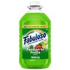 Fabuloso All Purpose Cleaner, Passion Fruit, 169 Fl. oz. (MX04966A)