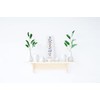 [Kamidano-no-Sato] Shinto Treasure 4993896302692, White, Small