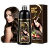 Shampoo para Canas, Hair Dye Shampoo 3 en 1 de