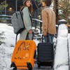 ANNA QUEEN Giraffe Fun Luggage Cover, Playful Giraffe Design with