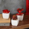 MyGift Assorted Artificial Red Succulent Plants, Mini Fake Desert Plants