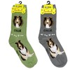 Foozys Unisex Crew Socks | Canine/Dog Collection | Collie, Multicolor