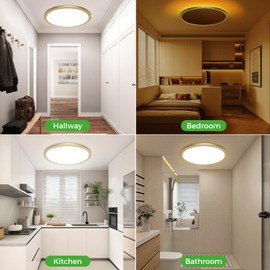 zemty 12 Inch LED Ceiling Light with Night Light 1800K, 3000K/4000K/6500K Dimmable Ceiling Light Fixtures with Remote Control, Low Profile Ceiling Lighting for Bedroom Living Room Kitchen-Gold