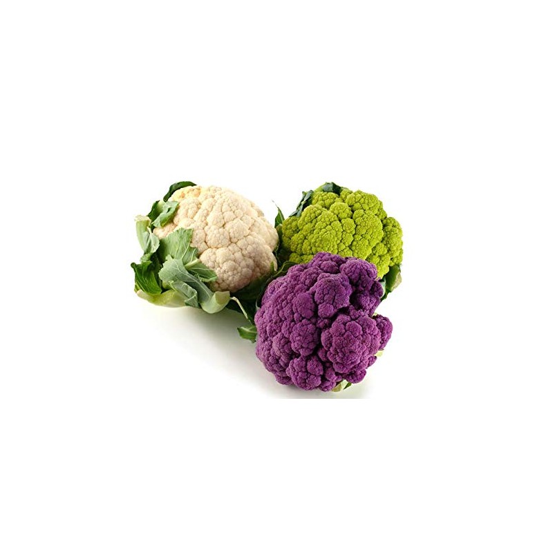 NIKA SEEDS - Seeds Vegetable Cauliflower Cabbage Mix - 200