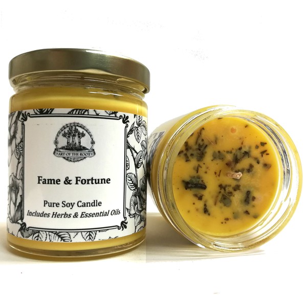 Fame & Fortune 8 oz Soy Spell Candle for for Beauty, Notoriety, Wealth, Success & Adoration (Hoodoo Voodoo Wiccan Pagan Magick)