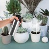 Stainless Steel Watering Can Spray Bottle Vintage Hand Pressure Sprayer