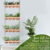 FillTouch 4 Tiered Hanging Herb Planters Hanging Herb Garden Wall