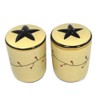 Park Designs Star Vine Salt and Pepper Set