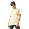 American Apparel Fine Jersey T-Shirt, Style G2001, Multipack, Cream (2-Pack)