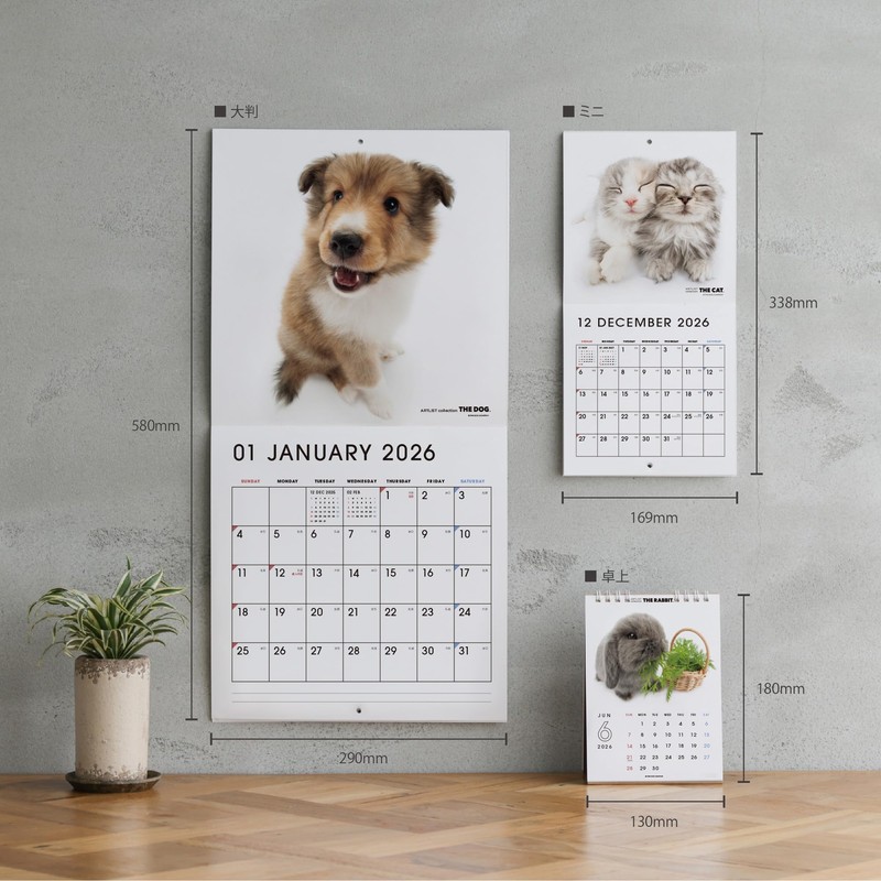 THE DOG 2026 Wall Calendar, Mini Size, Shetland Sheepdog