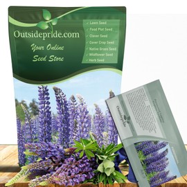 Outsidepride Wild Blue Perennial Lupine Seeds - 1 Lb. Self-Sowing, Cold Hardy & Frost Tolerant Wildflower Seeds for Fall Planting, Ideal for Attracting Pollinators & Hummingbirds