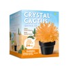 EDUMAN Crystal Growing Kit for Kids, Cactus-Orange DIY Crystal Science