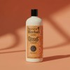 Shampoo Natural Rizos Secreto Herbal Chía Y Ricino 1l