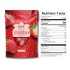 Nutty & Fruity Dried Strawberries - Soft and Juicy -