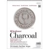Strathmore (560-1 500 Series Charcoal Pad, 9 x 12 Pulgadas,