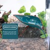 NIUBNKJ 3PCS Reptile & Fish Tank Leaf Rest Platform –