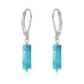 Cylindrical Earrings 925 Sterling Silver Lapis Lazuli Black Onyx Turquoise Tiger Eye Hook Earrings Jewellery Gifts for Women Children Girls, Sterling Silver, No Gemstone