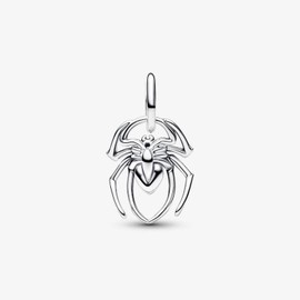 ARVALILS Spider Charm 925 Sterling Silver Charms fits Bracelets and Necklace Pendant Bead Charms Jewelry Gift for Women Family Friends