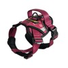 Tail Blazers Adjustable Dog Harness – No Pull, Breathable Padded