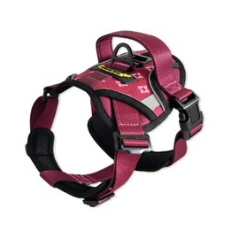Tail Blazers Adjustable Dog Harness – No Pull, Breathable Padded Harnesses with Handle for Small, Medium & Large Dogs – Reflective, Lightweight, Puppy Essentials to XL size. (Red, Medium)