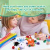 Zlulary Pipe Cleaners Craft, Pipe Cleaners Craft Supplies, Pipe Cleaner,