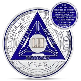 Recovery Triangle 53 Year Sobriety Coin - Silver Roman Numeral NA AA Coins - 1-65 Prime NA/HA/AA Chips and Medallions - Narcotics Alcoholics Anonymous Sober Gifts for Men Women