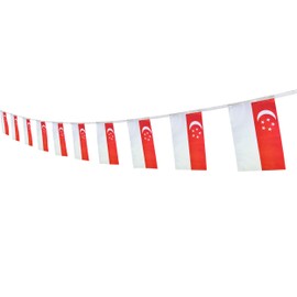 Singapore Singaporean String Banner Flag,5.5 x 8.2 Inch String Banner,Indoor and Outdoor Party Decorations,16 ft 20 Mini Flags.