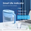 Waterdrop 200-Gallon Long-Life Lucid 10-Cup Water Filter Pitcher, NSF Certified,