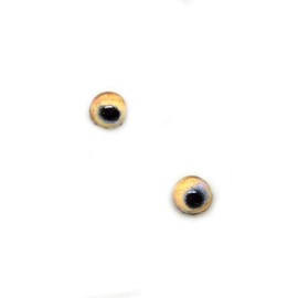 4mm Super Small Light Brown Wolf Tiny Animal Glass Eyes Pair of Small Flatback Cabochons for Toy Sculpture Polymer Clay Art Doll or Jewelry Making (4mm)