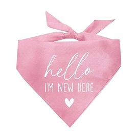 Hello I’m New Here Dog Bandana (Baby Pink, XS 1109)