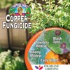 Bonide Captain Jack's Copper Fungicide, 16 oz Ready-to-Spray Disease Control